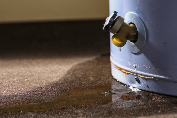 Best Carpet water damage restoration  in Ouray, CO