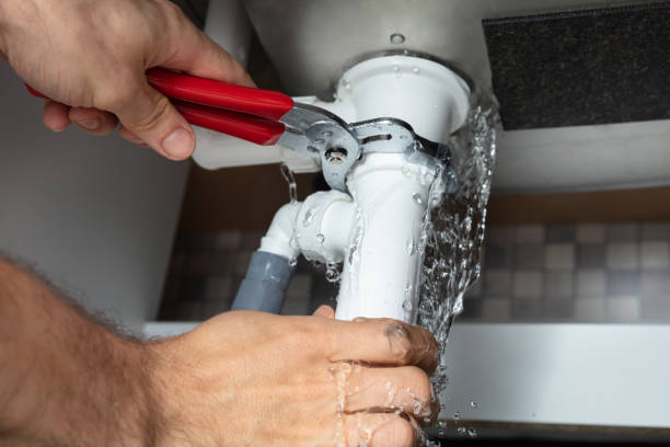 Best Water damage contractors near me  in Ouray, CO