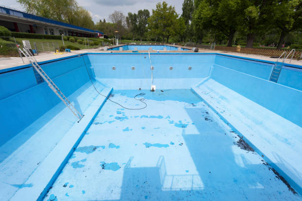 Best Local water damage restoration  in Ouray, CO