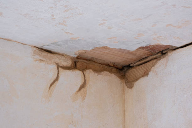 Best Fire Damage Restoration  in Ouray, CO
