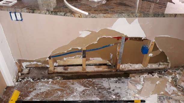 Best 24/7 water damage repair  in Ouray, CO