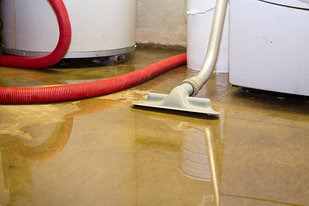 Best 24-hour water damage restoration  in Ouray, CO