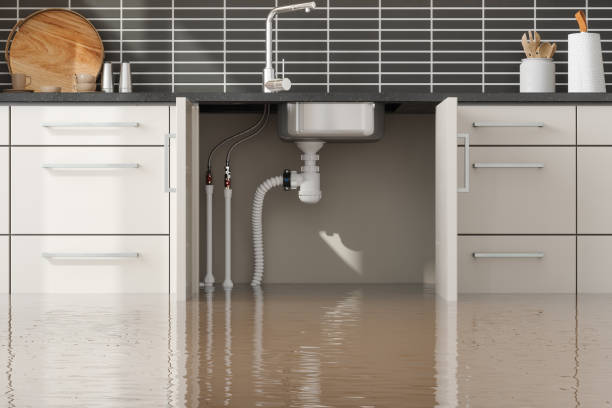 Best 24/7 water damage repair  in Ouray, CO