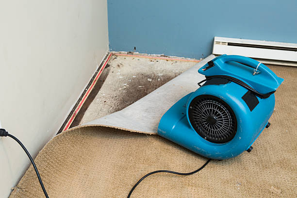 Reliable Ouray, CO Water damage restoration Solutions